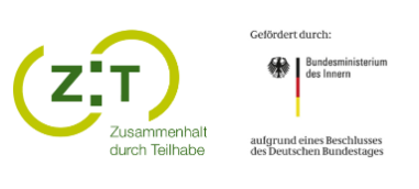 ZDT BMI Logo pur